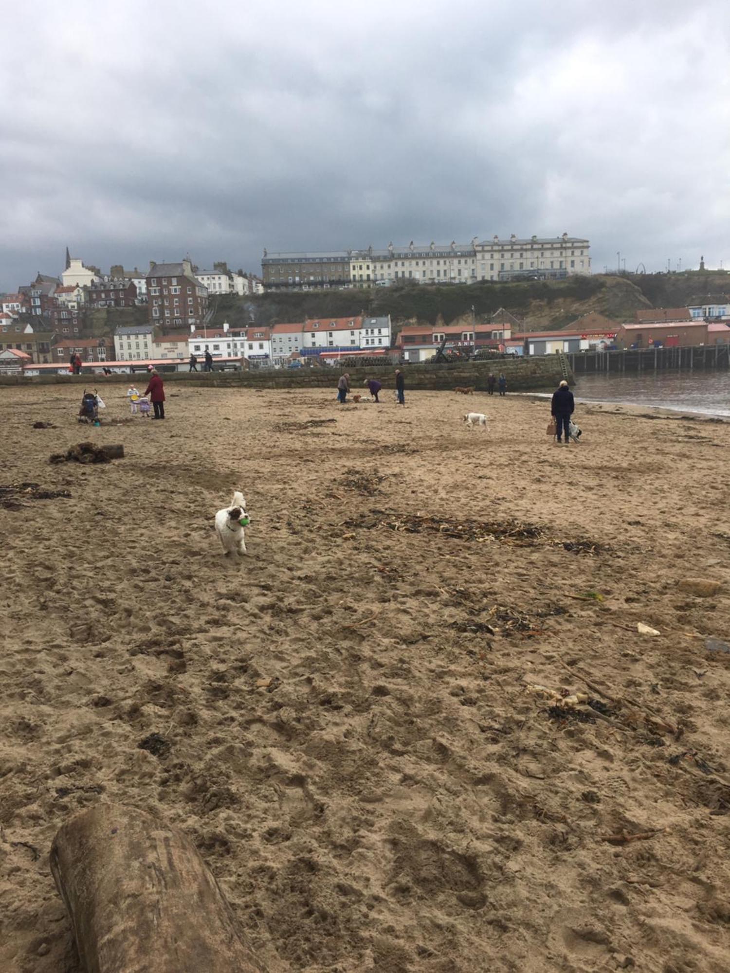Harbour Penthouse Whitby Apartment Екстериор снимка